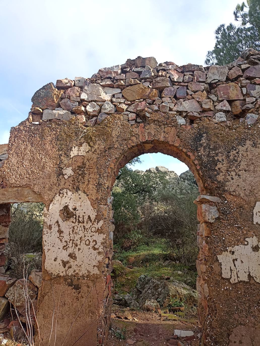 La puerta trasera con un arco.