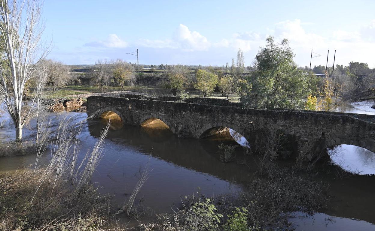 El derrumbe que ha sufrido el puente de Cantillana. 