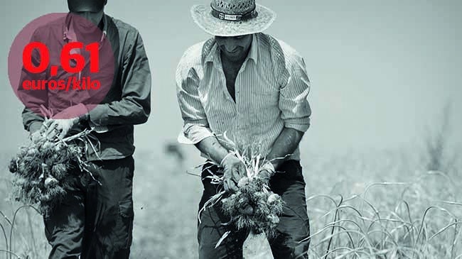 Imagen antes - Los alimentos suben de precio un 270% desde el campo hasta el supermercado