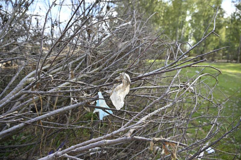 Restos de compresas femeninas están enganchadas en los árboles del camino.