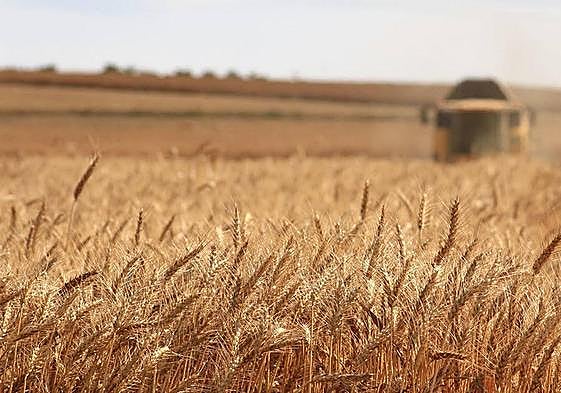 Según Caja Rural, el apoyo al cooperativismo es «uno de los objetivos sociales de la entidad».