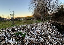 Zona de la Ribera del Marco repleta de toallitas.