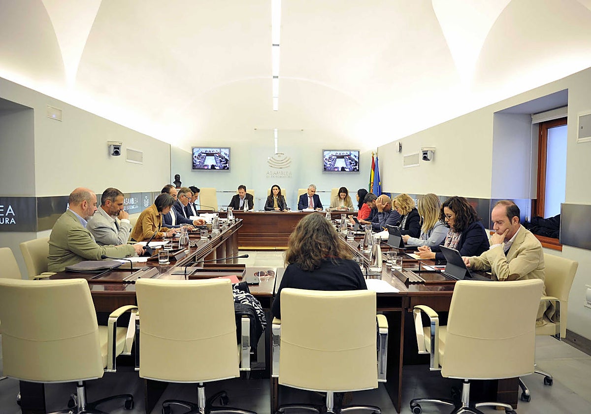 Reunión de la Comisión de Movilidad en la que se ha aprobado el dictamen de la ley.