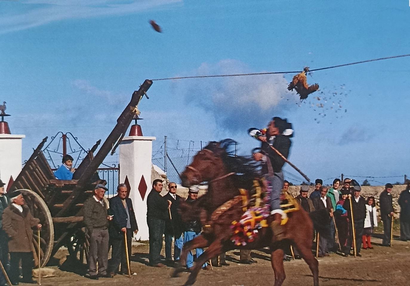 Corrida de gallos en Albalá. Fotografía publicada en el coleccionable del Diario HOY ‘Extremadura de Norte a Sur’ de 1994.