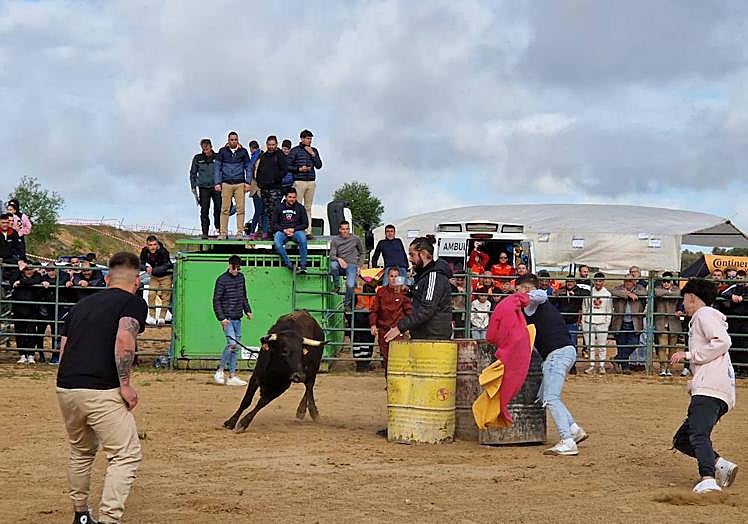 Imagen principal - Calamonte disfruta de unas multitudinarias fiestas de San José