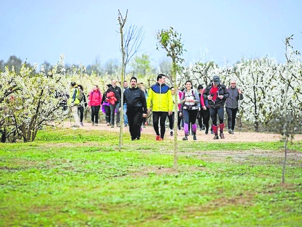 Durante una ruta senderista por el municipio, en plena floración de sus campos.