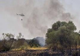 El Infoex recomienda aplazar las quemas agrícolas por el calor pero no elevará el nivel de riesgo