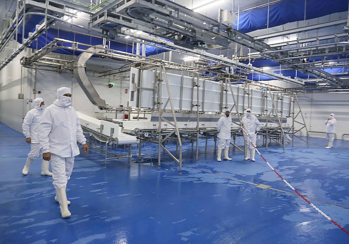 Matadero del ibérico de Zafra, uno de los proyectos financiados con los incentivos de 2021.