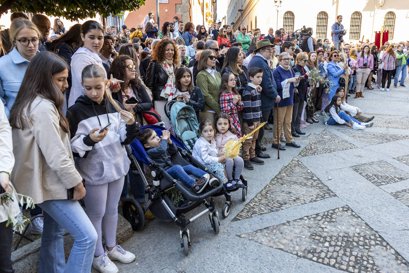 La Borriquita de Plasencia, en imágenes