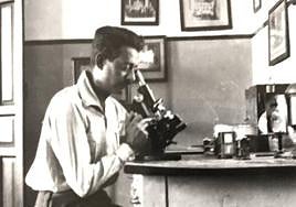 La gambusia, el pez invasor que los hermanos De Buen trajeron de Estados Unidos a Cáceres para acabar con la malaria.