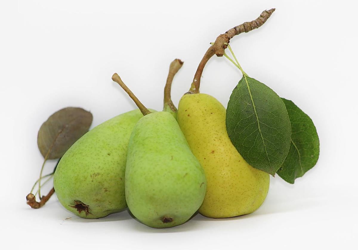 El reto de la producción ecológica