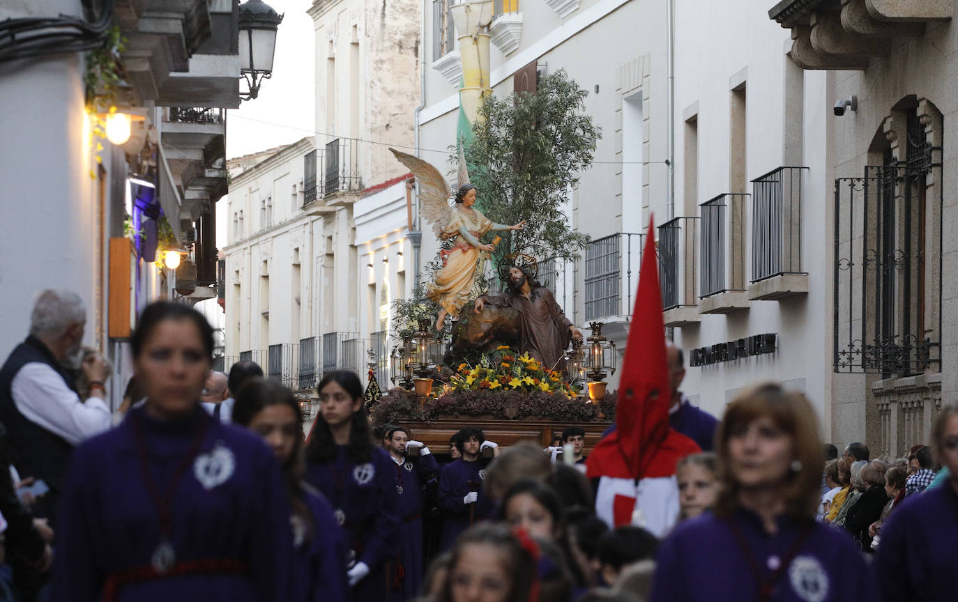 Pasos: Oración en el Huerto, Beso de Judas, La Flagelación, Cristo de la Salud y de la Expiración y Dolorosa de la Cruz Cofradía: Ilustre y Real Cofradía de la Santa y Vera Cruz