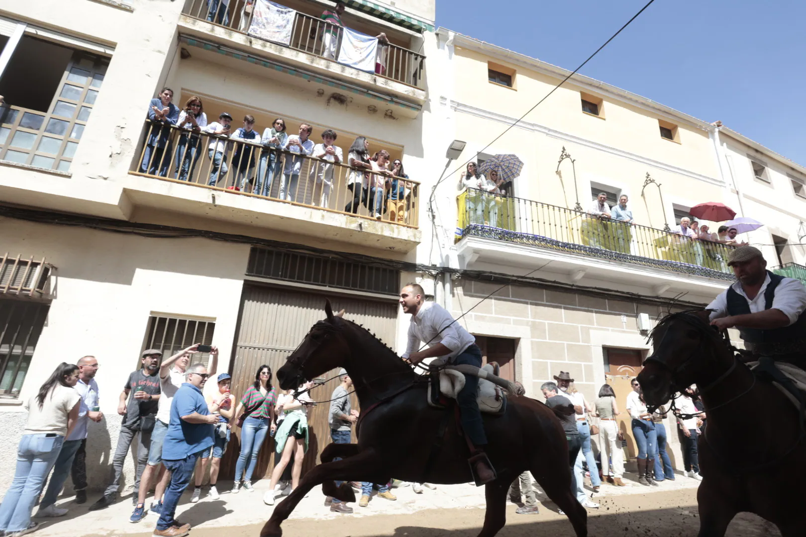 Las carreras de caballo de Arroyo de la Luz, en imágenes