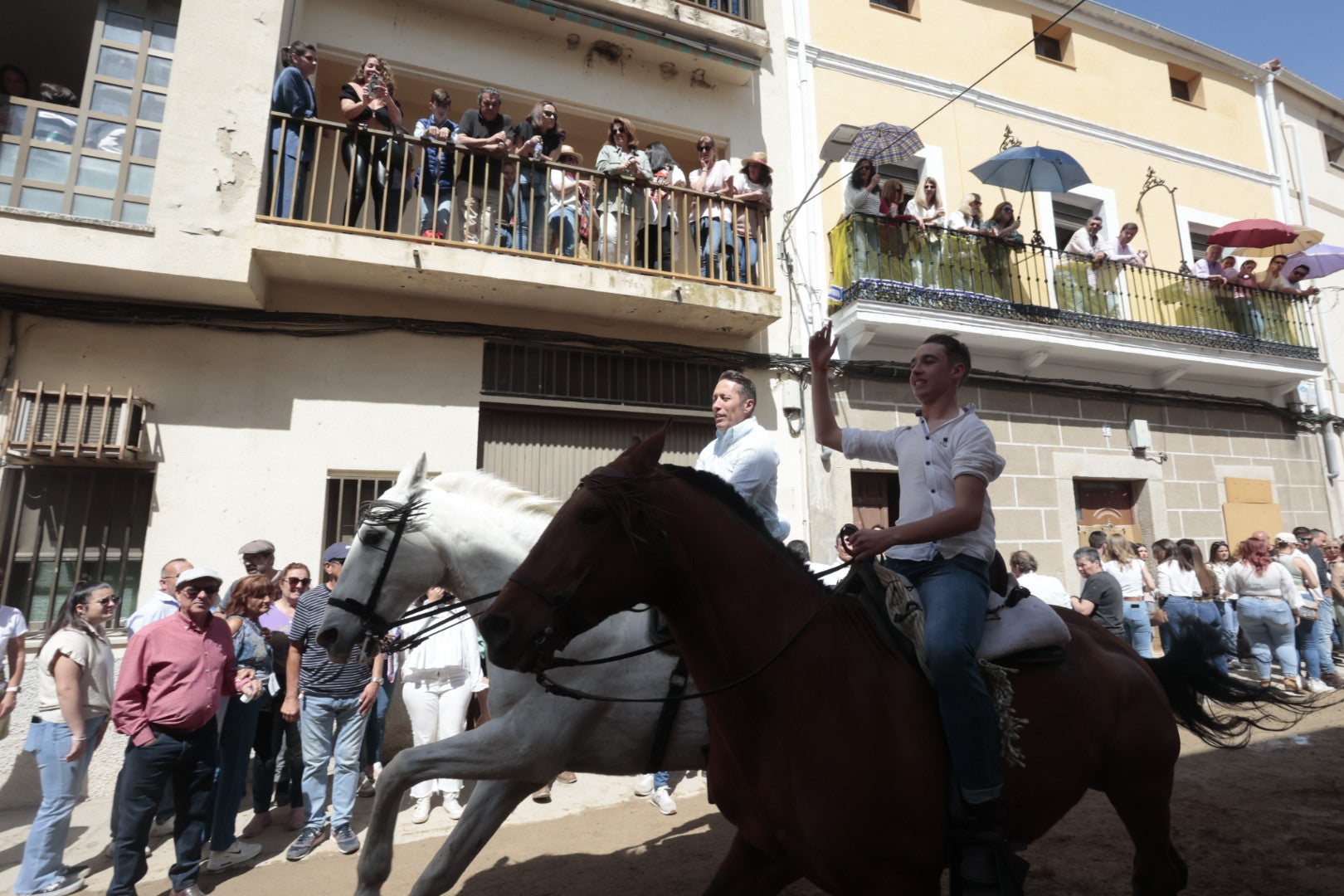 Las carreras de caballo de Arroyo de la Luz, en imágenes