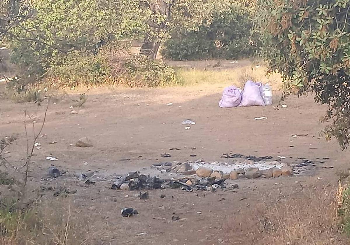 Restos de una hogera y bolsas de basura en medio del parque.