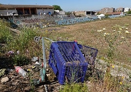 Estado actual del estadio José Pache.