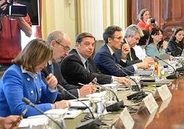 El ministro de Agricultura durante el Consejo Consultivo con los consejeros de las comunidades autónomas.