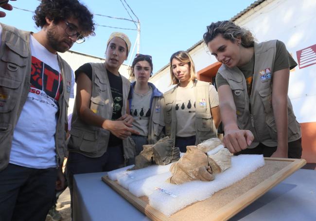 Este martes se han dado a conocer los nuevos hallazgos encontrados en el yacimiento de Casas del Turuñuelo.