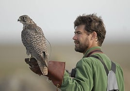 Un cetrero con su halcón.