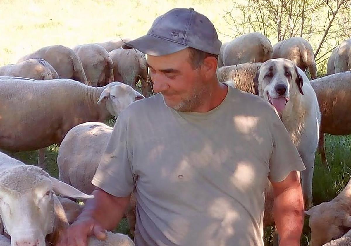 Feli Martín Crespo con su ganado en la Sierra de Gata.
