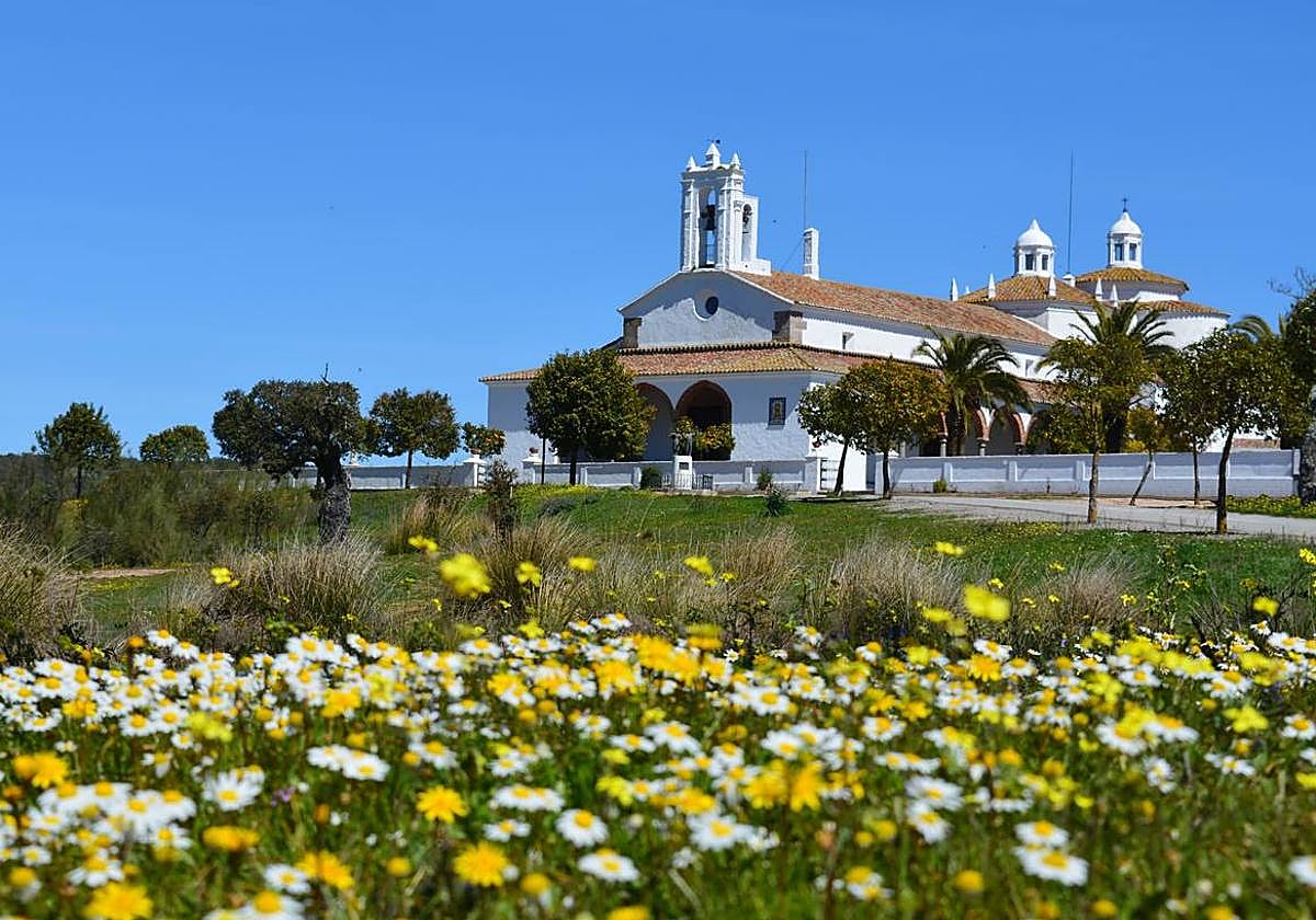 Las flores silvestres florecen en el entorno del Santuario de Santa María de los Remedios