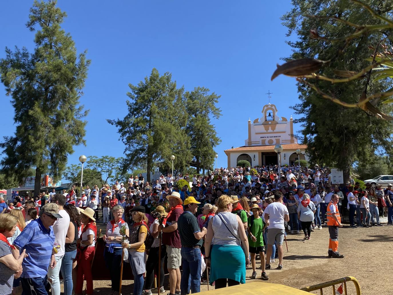 Romeros y carretas hacen el camino de San Marcos en Almendralejo (II)