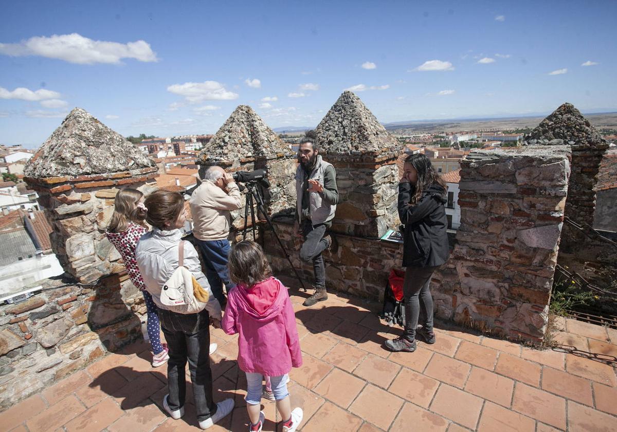 Este es el programa completo del Festival de las Aves 2023 en Cáceres