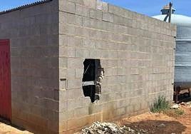 Caseta afectada en Almendralejo por un robo hecho con el método del butrón.