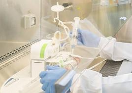 Las bacterias pierden la batalla animal