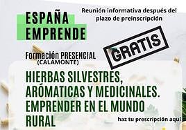 Formación sobre hierbas silvestres, aromáticas y medicinales