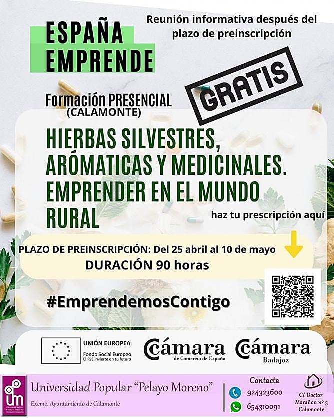 Formación sobre hierbas silvestres, aromáticas y medicinales