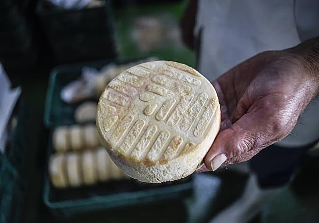 El queso que comercializan desde la finca es de una gran calidad.