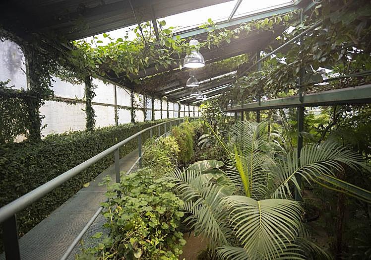 Estufa fría del parque del Príncipe.