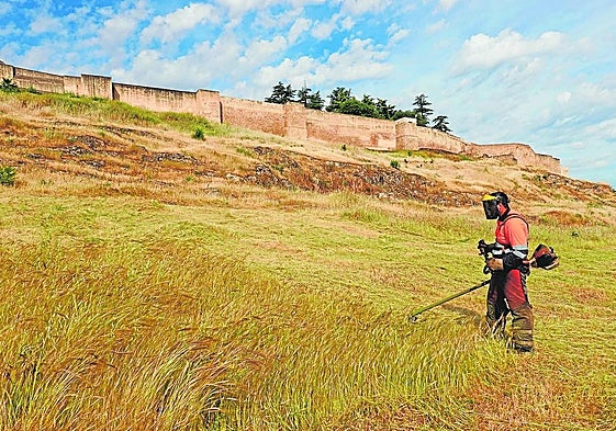 Un operario desbroza esta semana las laderas de la Alcazaba de Badajoz.