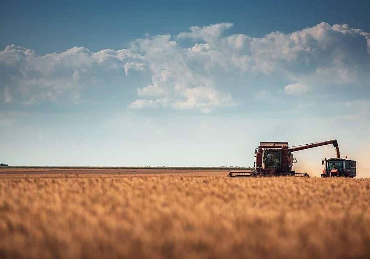 El importe de esta subvención suplementaria correspondiente a cada póliza alcanzará hasta el 70% del coste del seguro.
