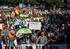 Lea las cinco noticias principales de este domingo, 14 de mayo de 2023