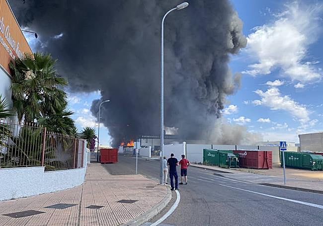 Las llamas se han extendido a una nave aledaña ocupada por una aceitunera.