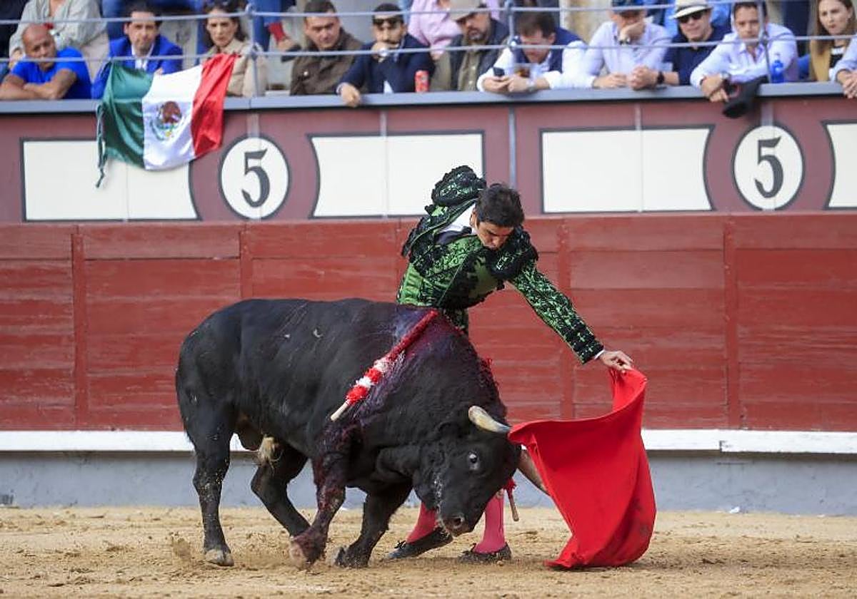 El torero Miguel Ángel Perera da un pase a su primer toro durante el festejo taurino de la Feria San Isidro.