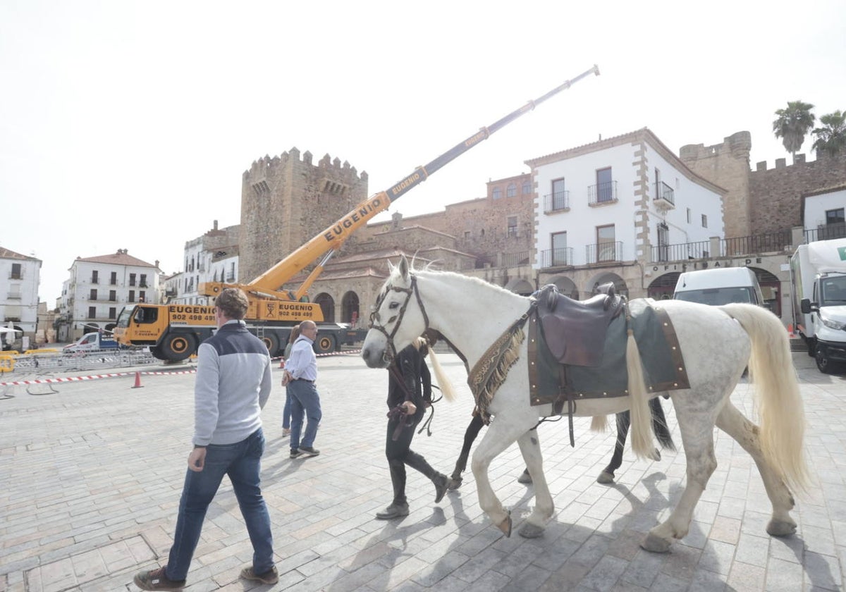 En el ensayo han participado hasta 20 caballos y en la Plaza se ha desplegado una grúa de gran altura para sujetar una estructura de focos.