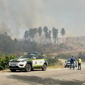 El incendio en Pinofranqueado es «grande y complicado» y todo apunta a que fue intencionado, con dos focos