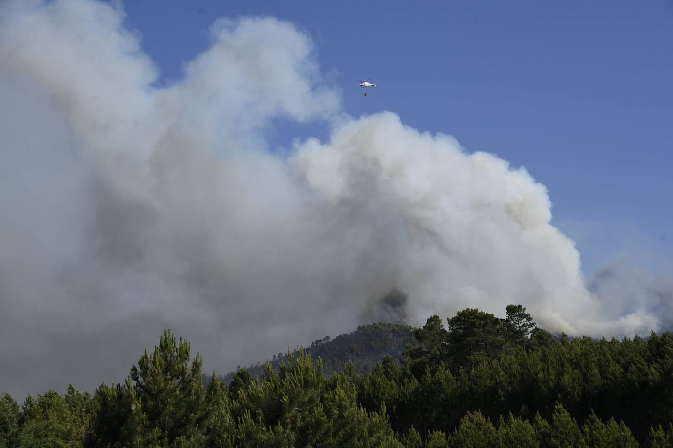 El incendio en Pinofranqueado, en imágenes