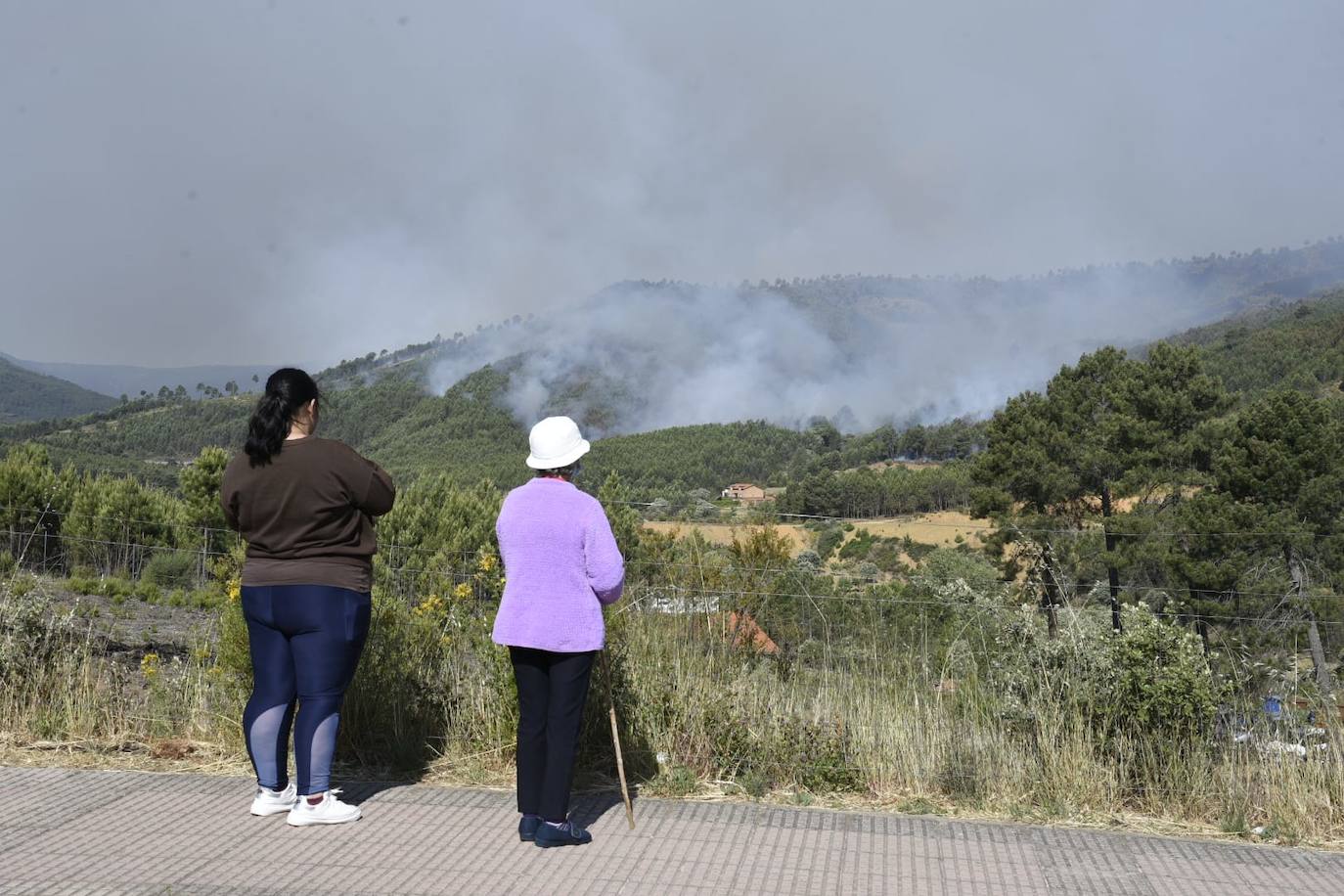 El incendio en Pinofranqueado, en imágenes