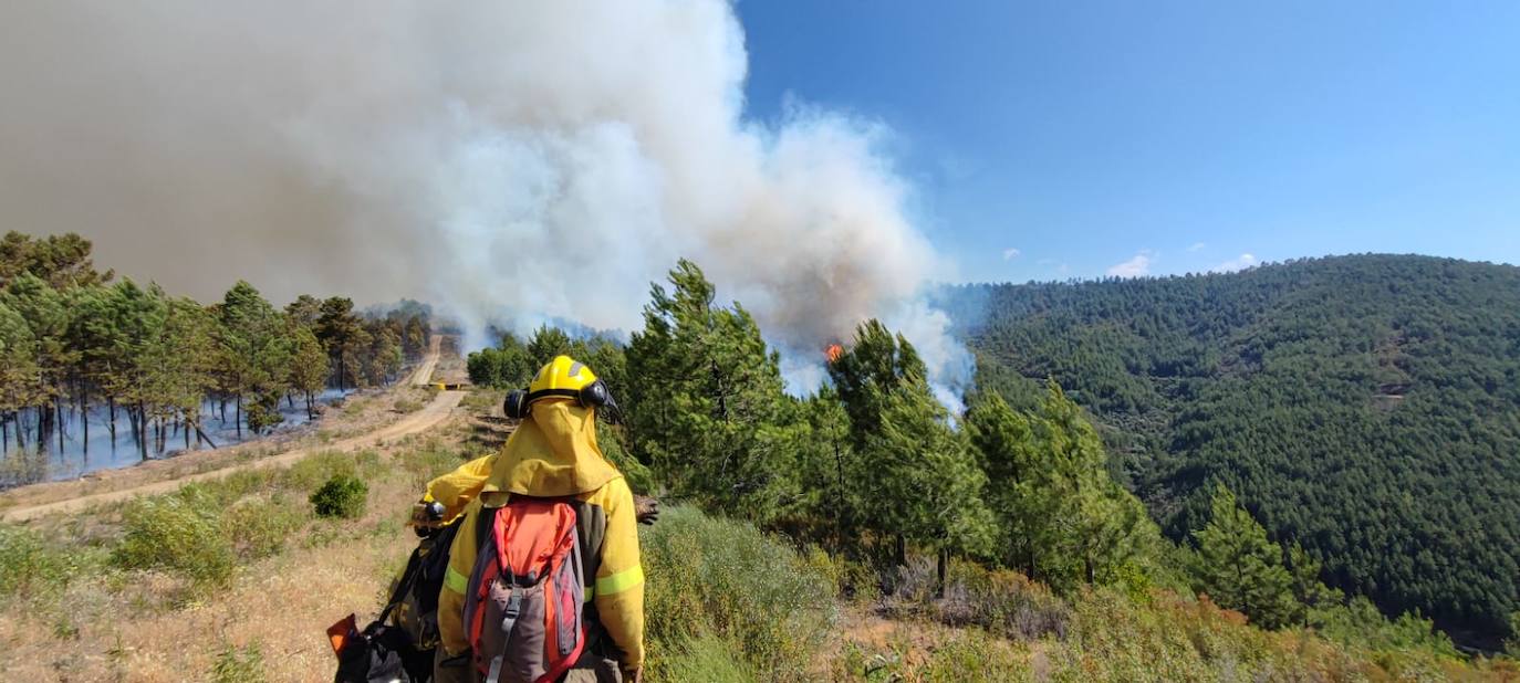 Resumen de la jornada de trabajo de la BRIF del Ministerio en el incendio de Pinofranqueado 