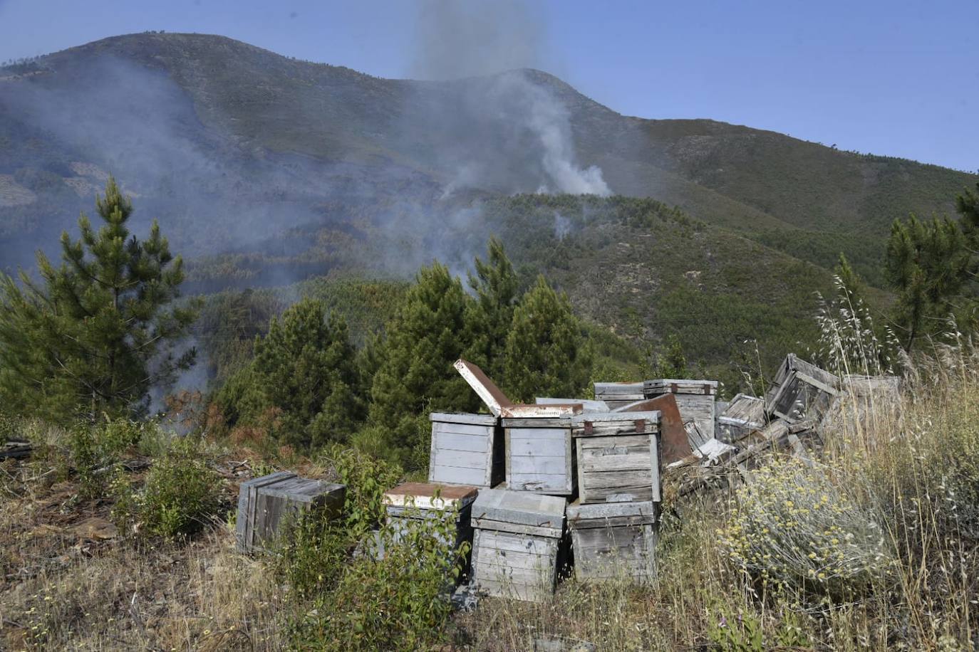 El incendio en Hurdes y Sierra de Gata, en imágenes (IV)