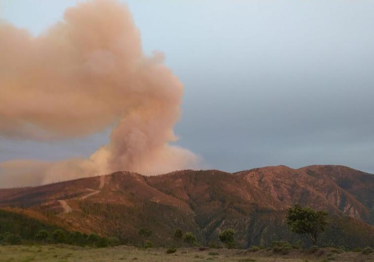 Incendio de Pinofranqueado en la mañana de este sábado.