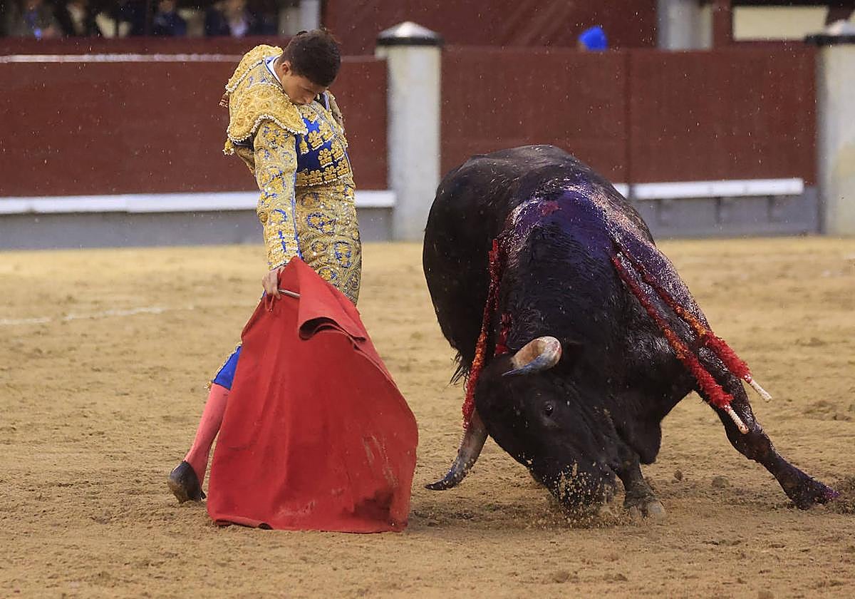 El novillero Sergio Rodríguez durante el duodécimo festejo de la Feria de San Isidro, este martes en la Monumental de Las Ventas, en Madrid.