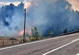 Incendio en Brovales.