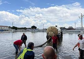 Operarios achicando agua este viernes en la ciudad deportiva de Puebla de la Calzada.