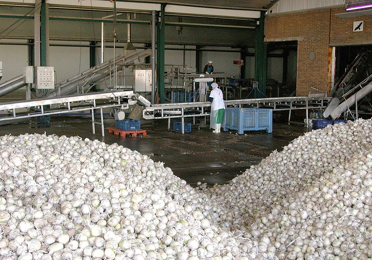 Planta de Vegenat en Pueblonuevo del Guadiana. Ahora está construyendo una nueva en la Plataforma Logística de Badajoz.