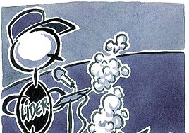 El buen votante y el buen líder